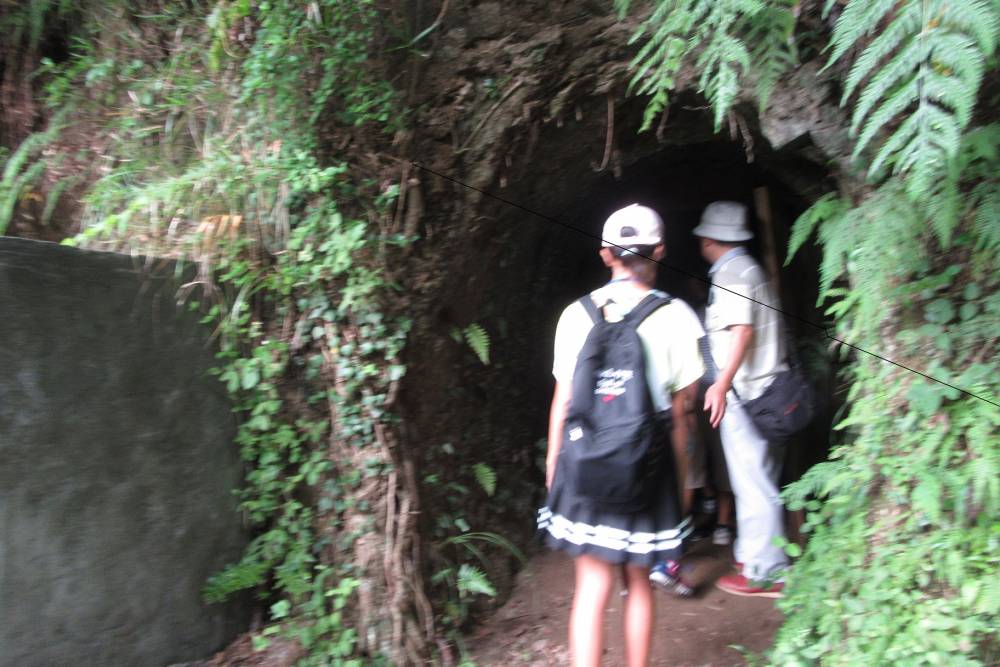 本土決戦陣地跡を見学している様子