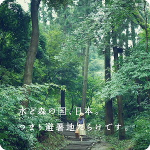 イメージ1