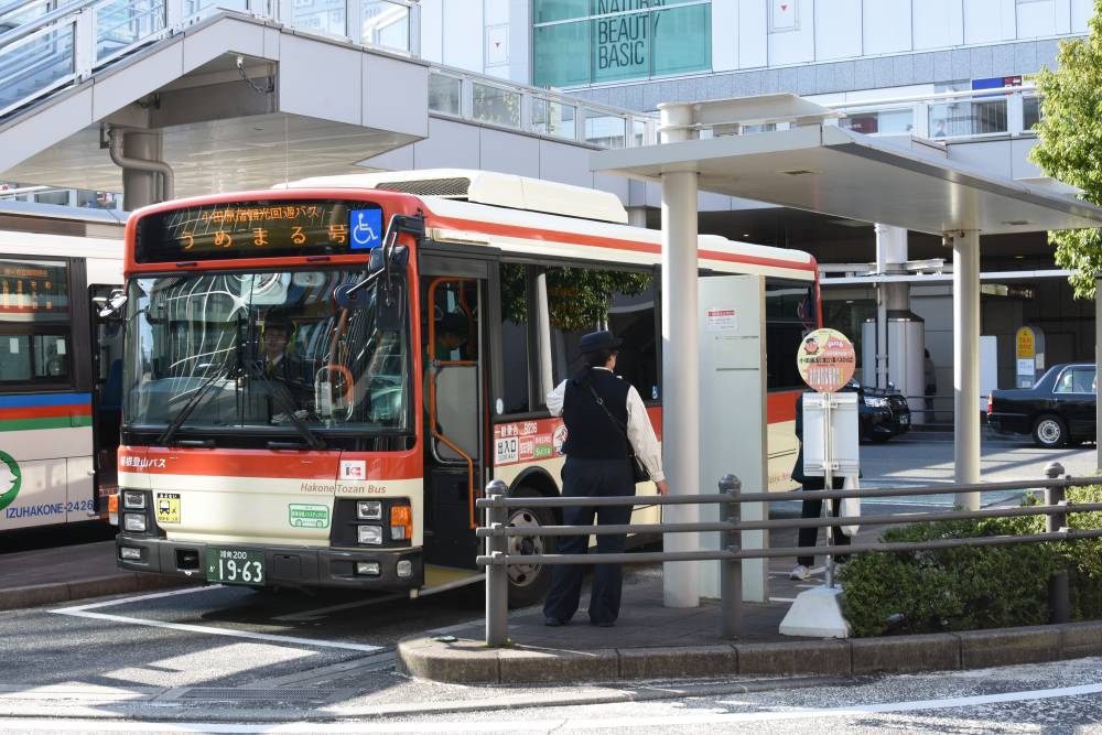 観光回遊バス