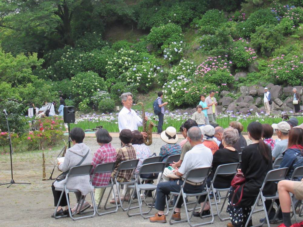 小田原市 中止 令和2年度小田原城あじさい花菖蒲まつり