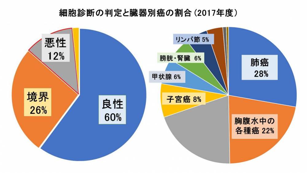 細胞診円グラフ