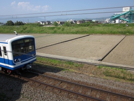 すぐ横を走る大雄山線