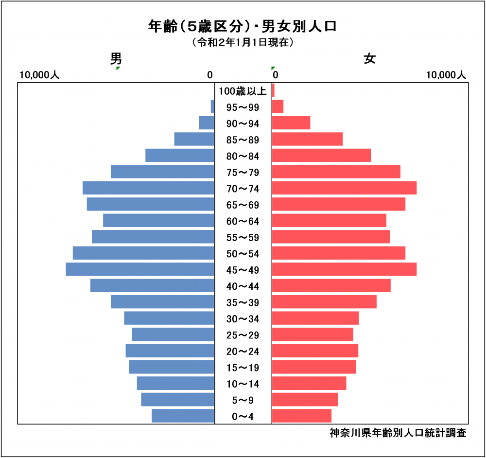 人口ピラミッド