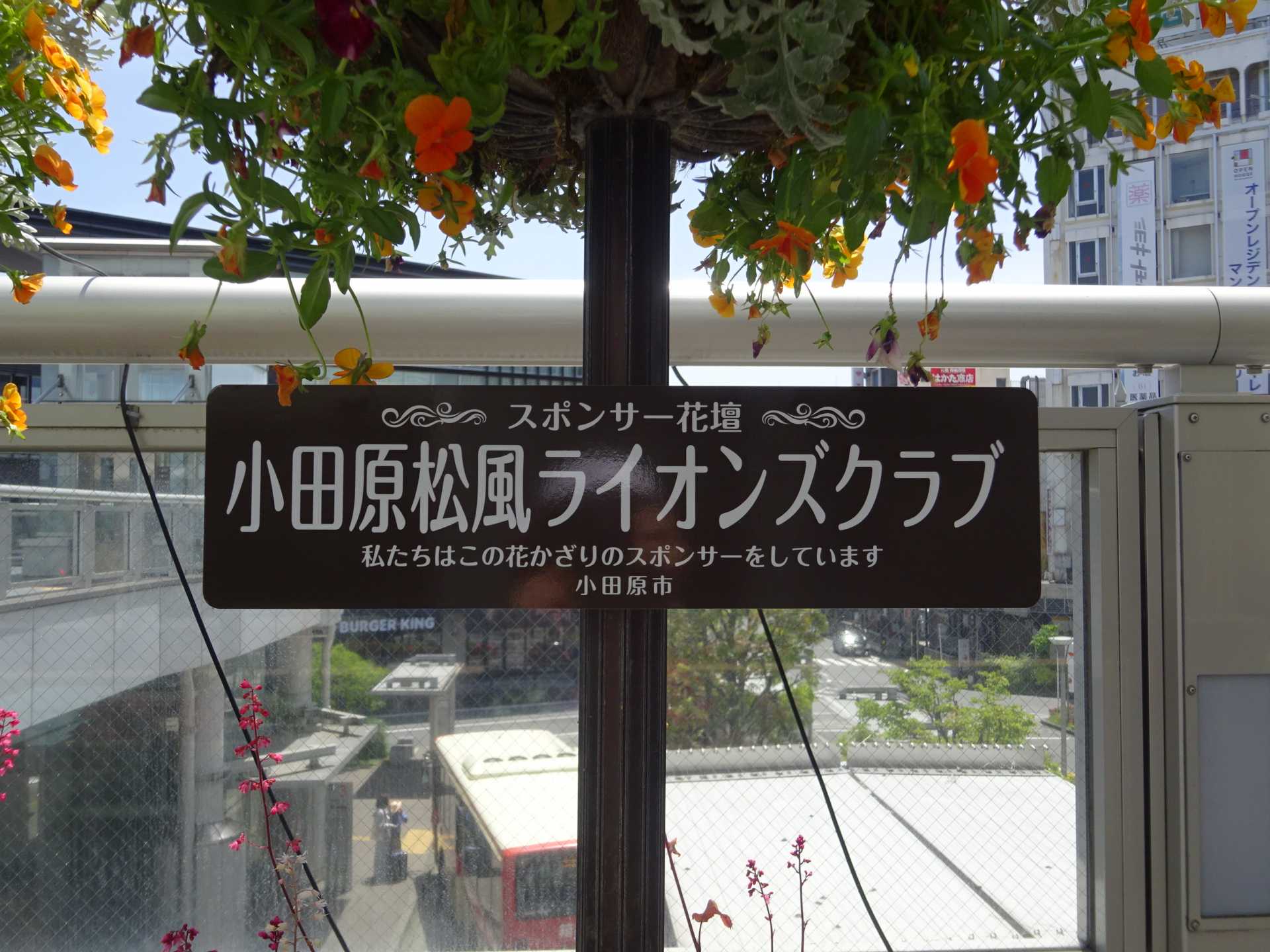 小田原松風ライオンズクラブ