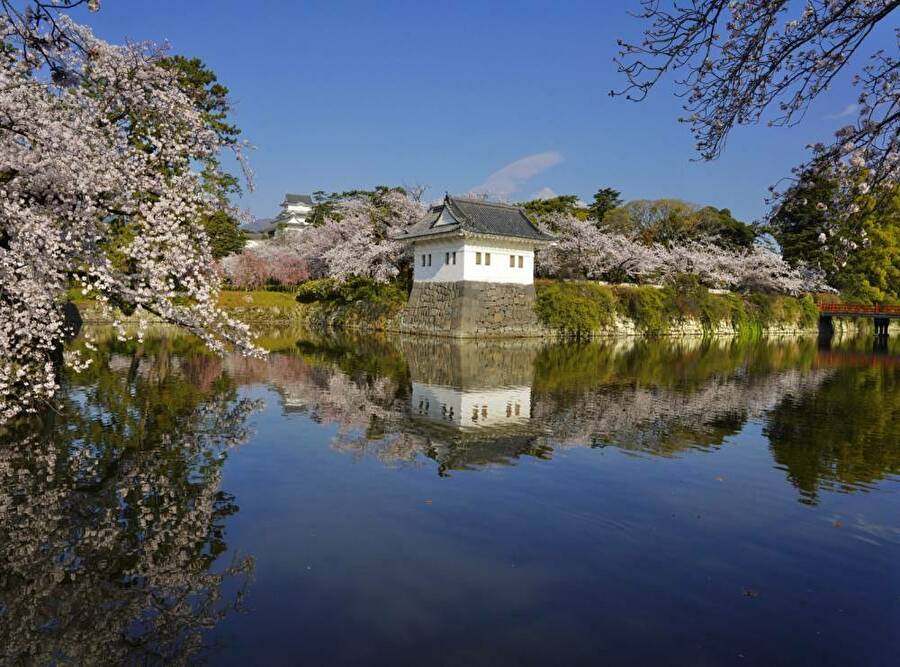 2．お堀に映る小田原城