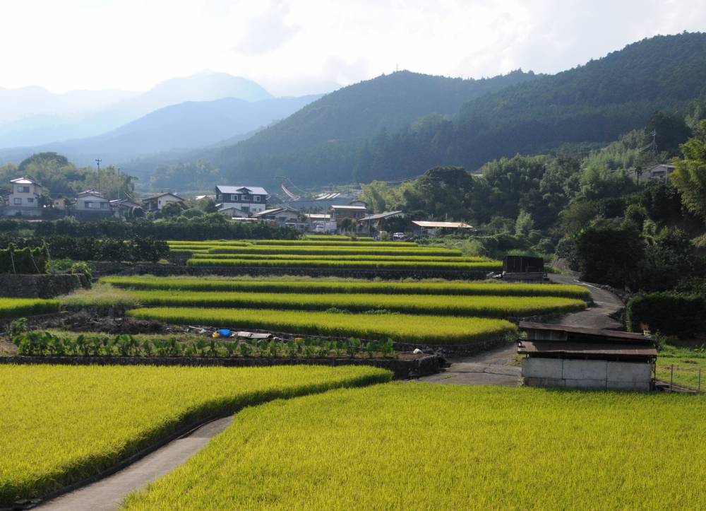 3．久野の里山