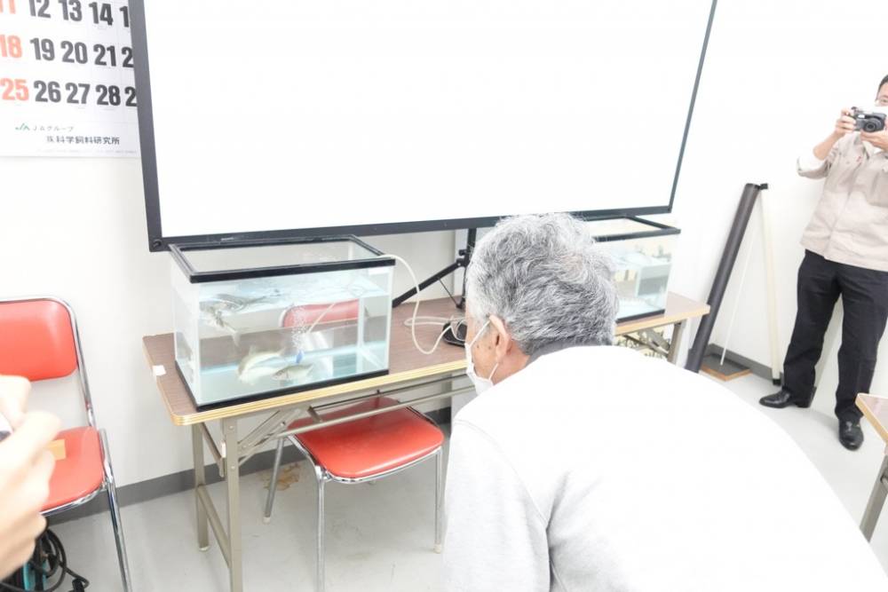 アユとヤマメを観察する様子