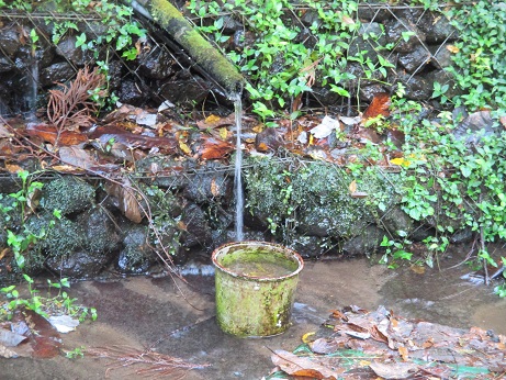 水飲み場