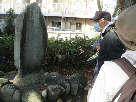 松苗栽植地