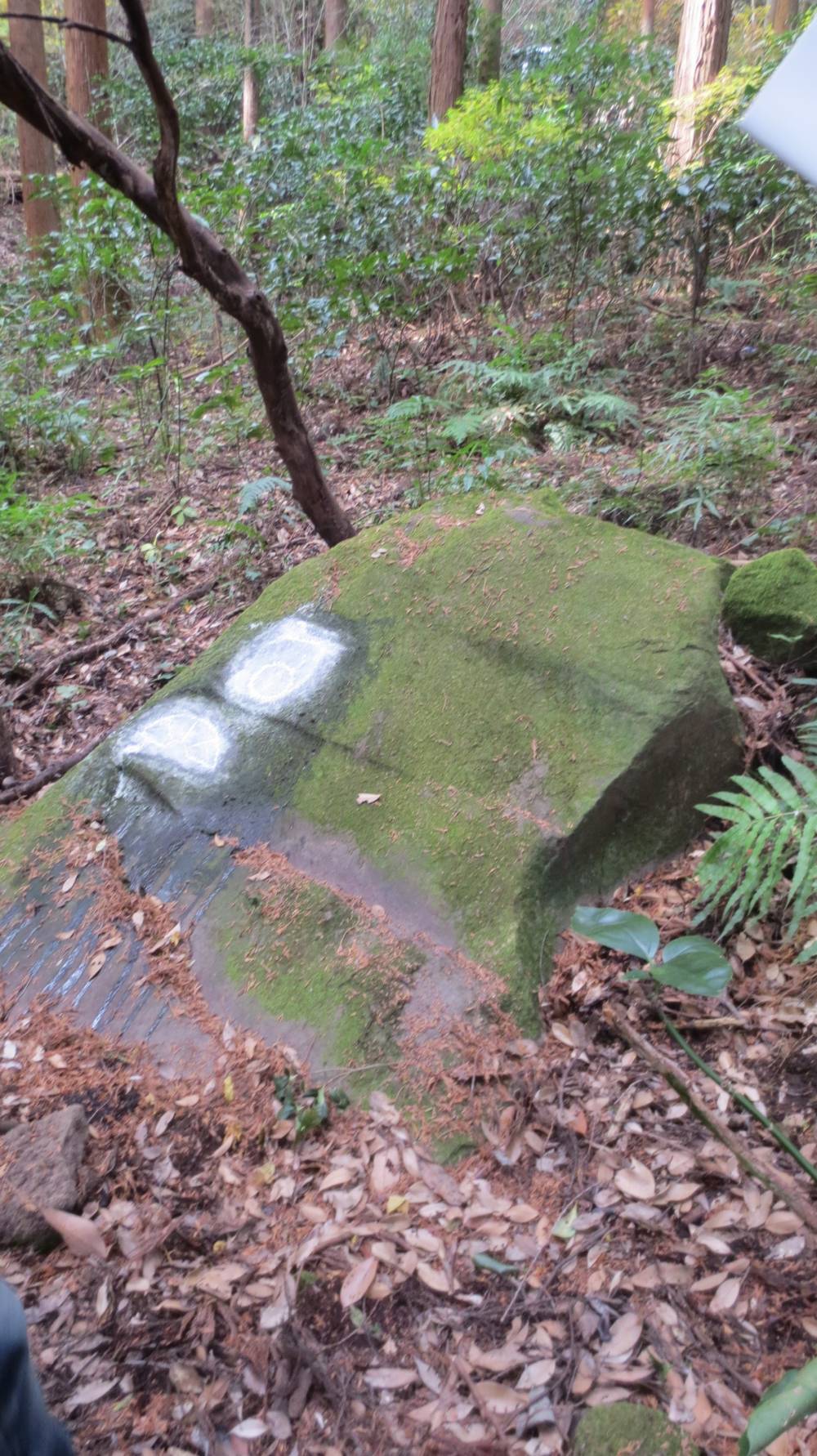 久野家路戸石の刻印石