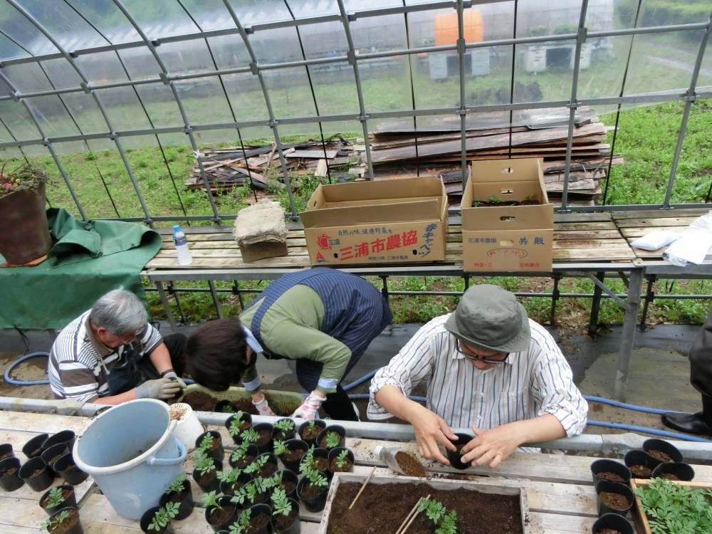 花づくり講習会での作業風景