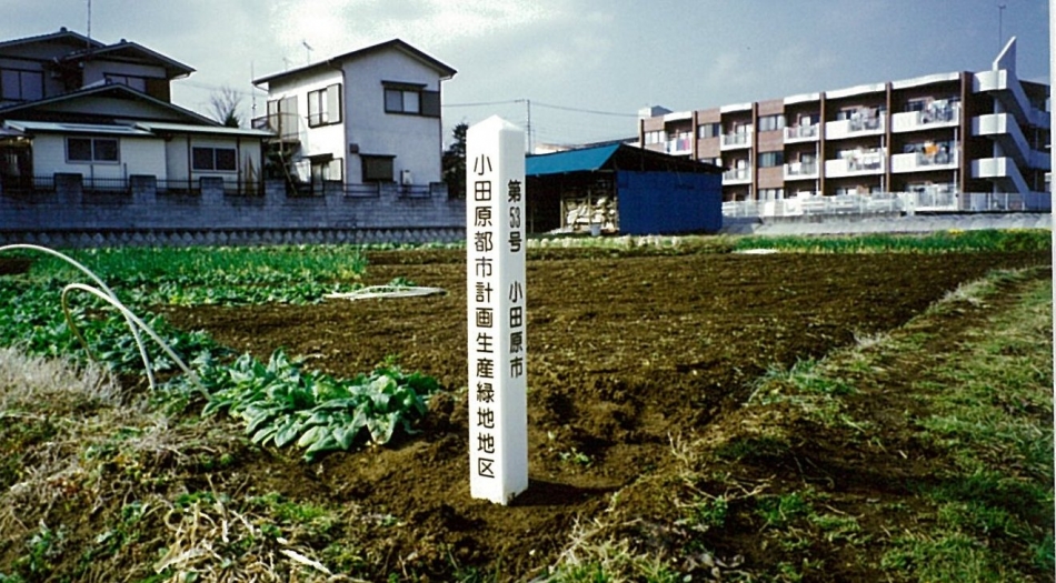 市内にある生産緑地の農地として管理されている状況の写真