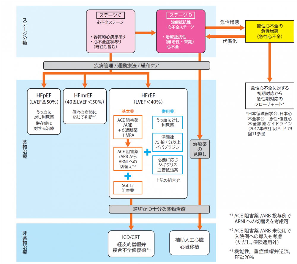 心不全治療