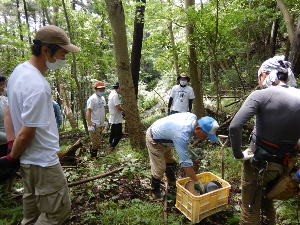 活動の様子