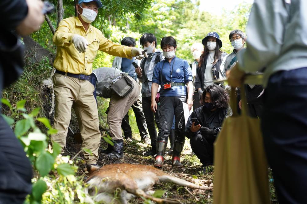 罠にかかった鹿を前に説明を聞く様子