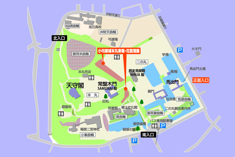 小田原市 小田原城あじさい花菖蒲オープンガーデン