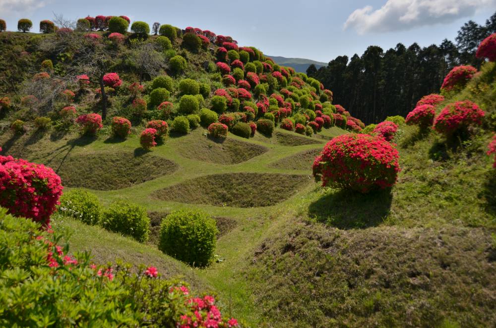 山中城