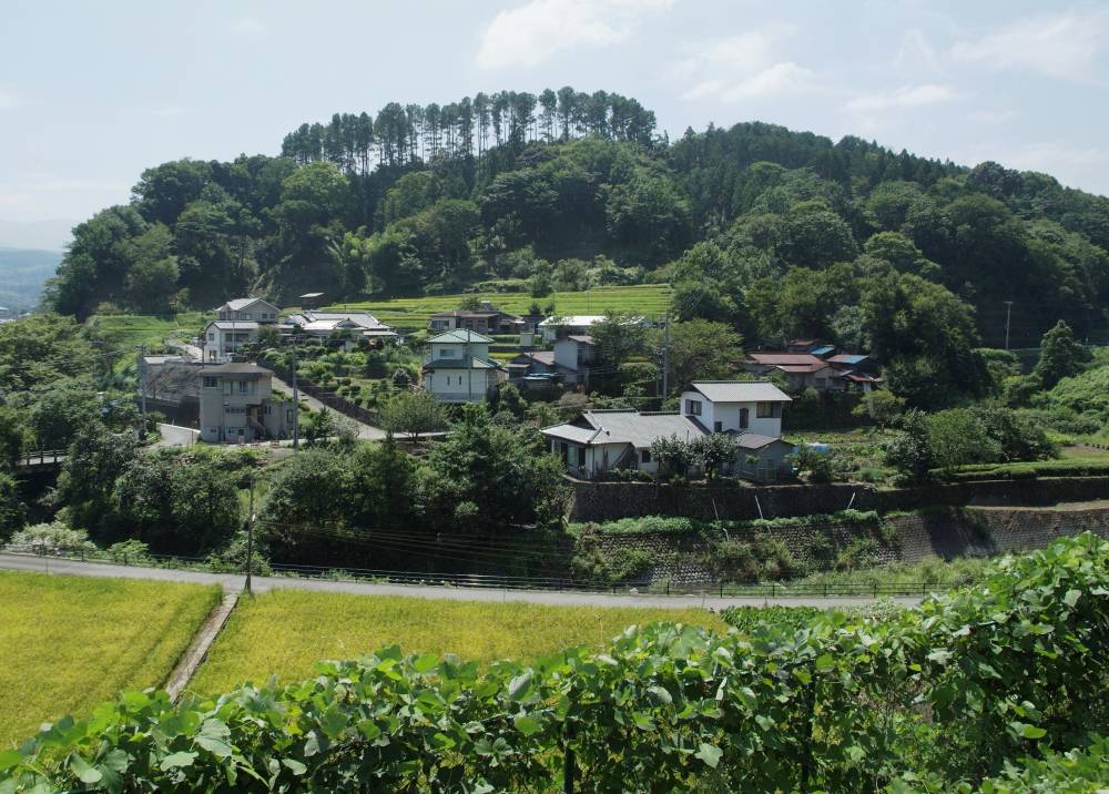 狩野城