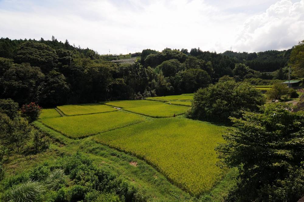 久野の里山