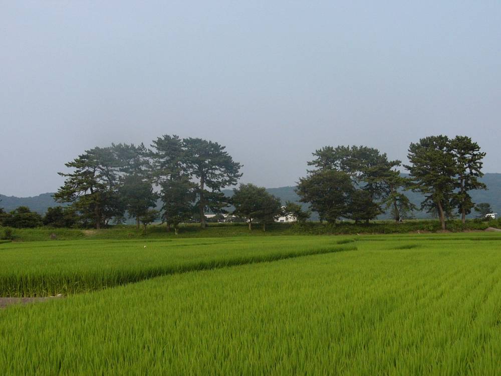 田園風景