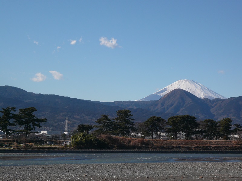 酒匂川と富士山と松並木