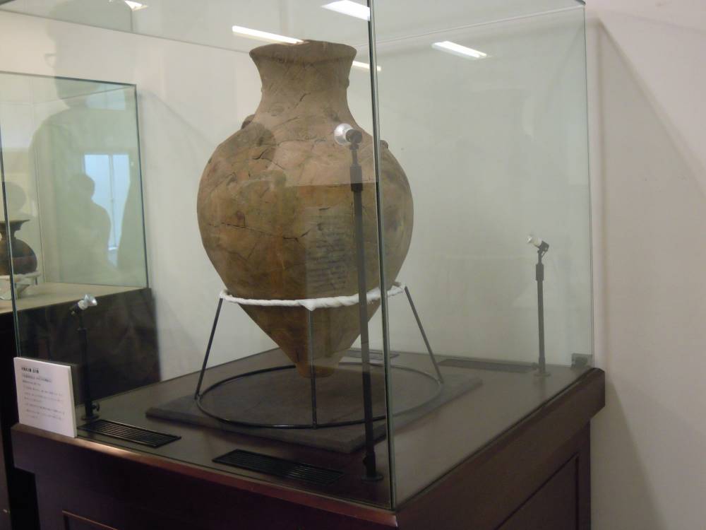 考古資料室の展示