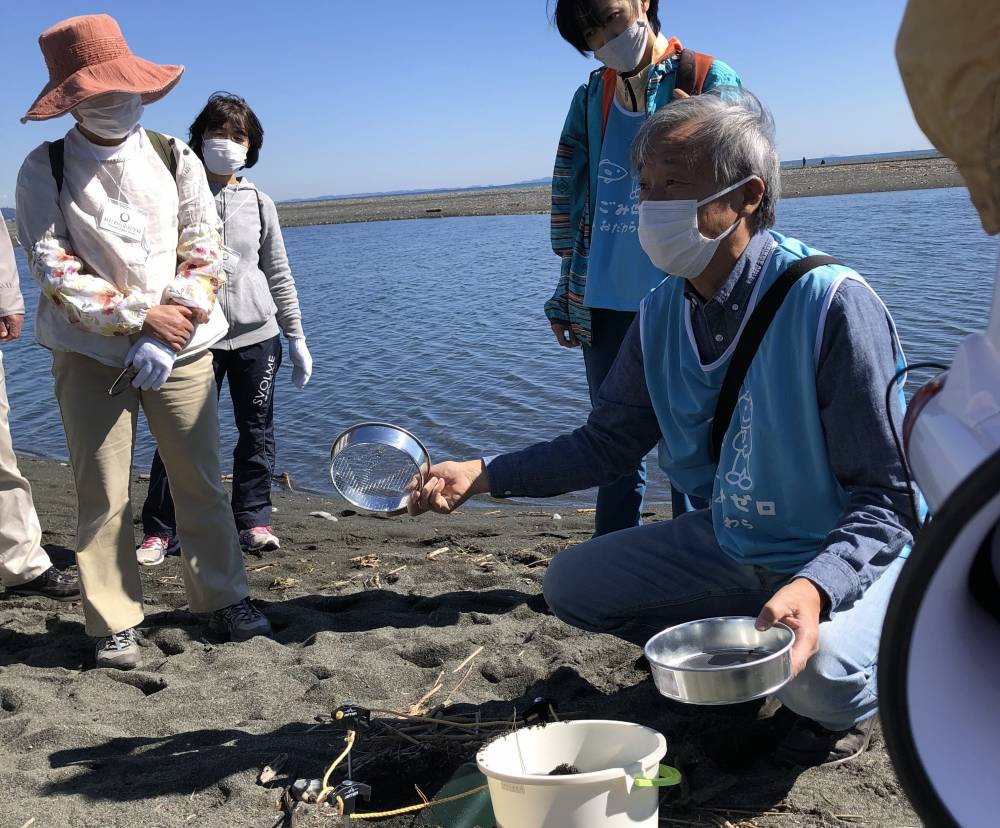 マイクロプラスチック確認のため、満潮線の砂を採取する様子