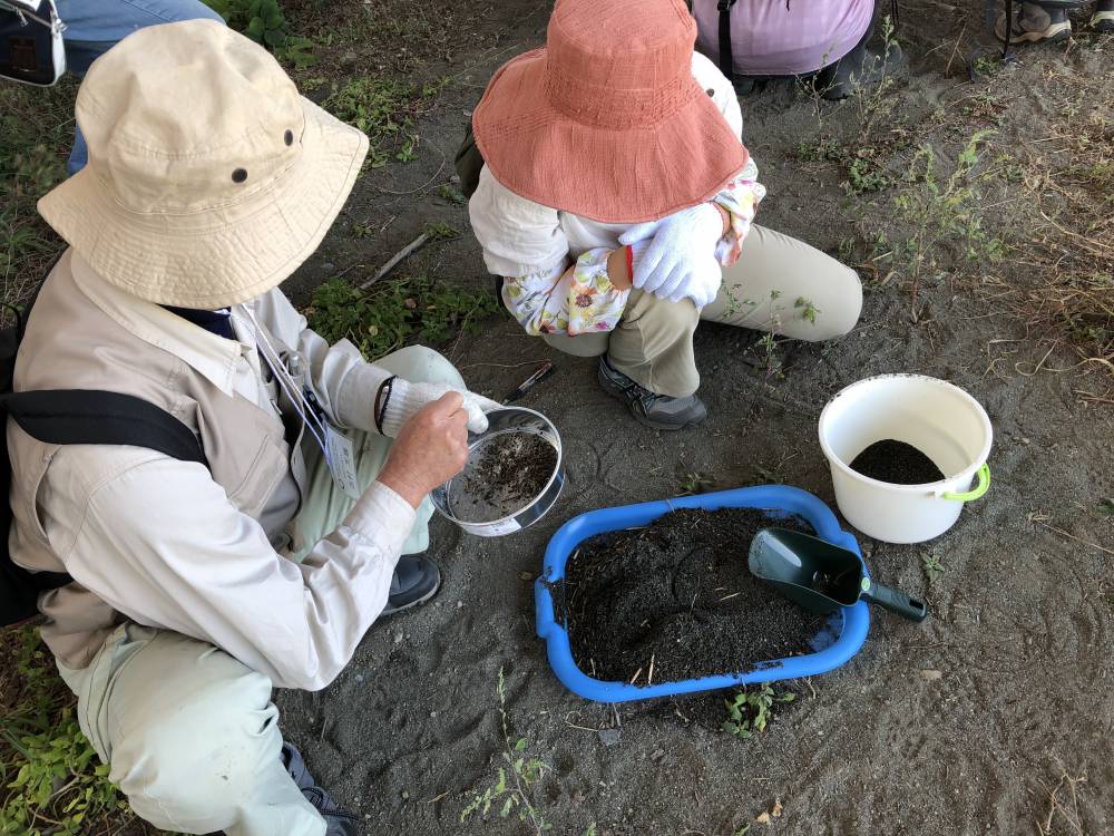 砂をふるいにかけ、実際にマイクロプラスチックを確認する様子