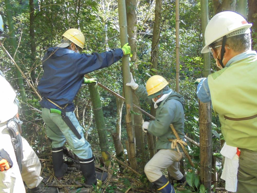 確認しながら切っていく