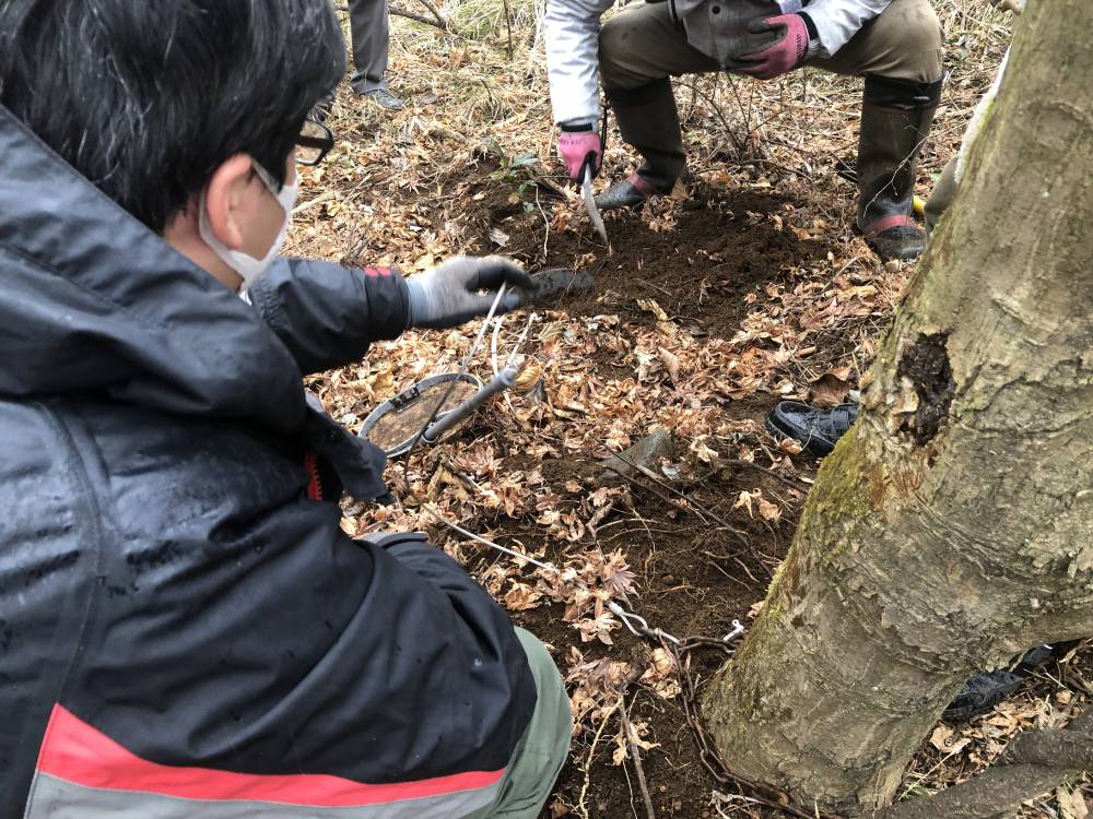 くくり罠実演