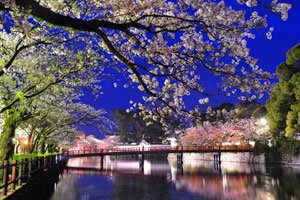 城址公園の写真