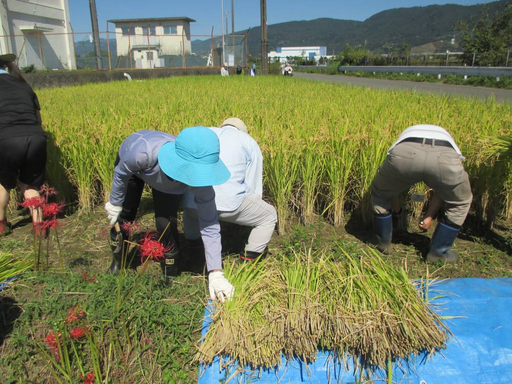 おだわら市民学校の様子