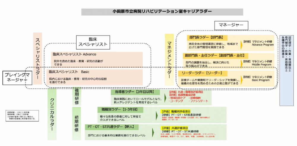 当院のキャリアラダー