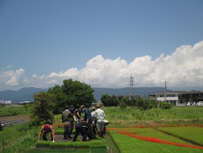 夏の始まり