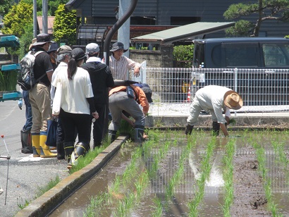 少し手植え