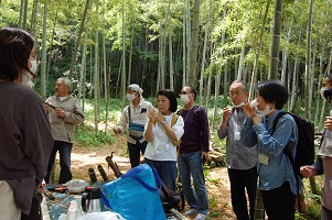 竹の葉茶の試飲