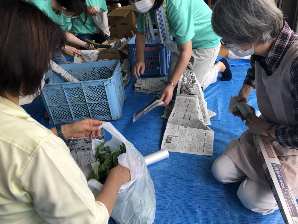 野菜を包む様子（はまっこてらす）