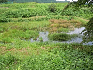 舟原溜池