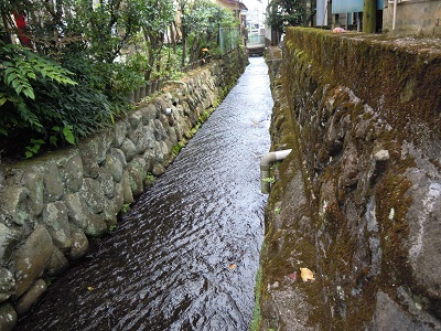 家の間を流れる小田原用水