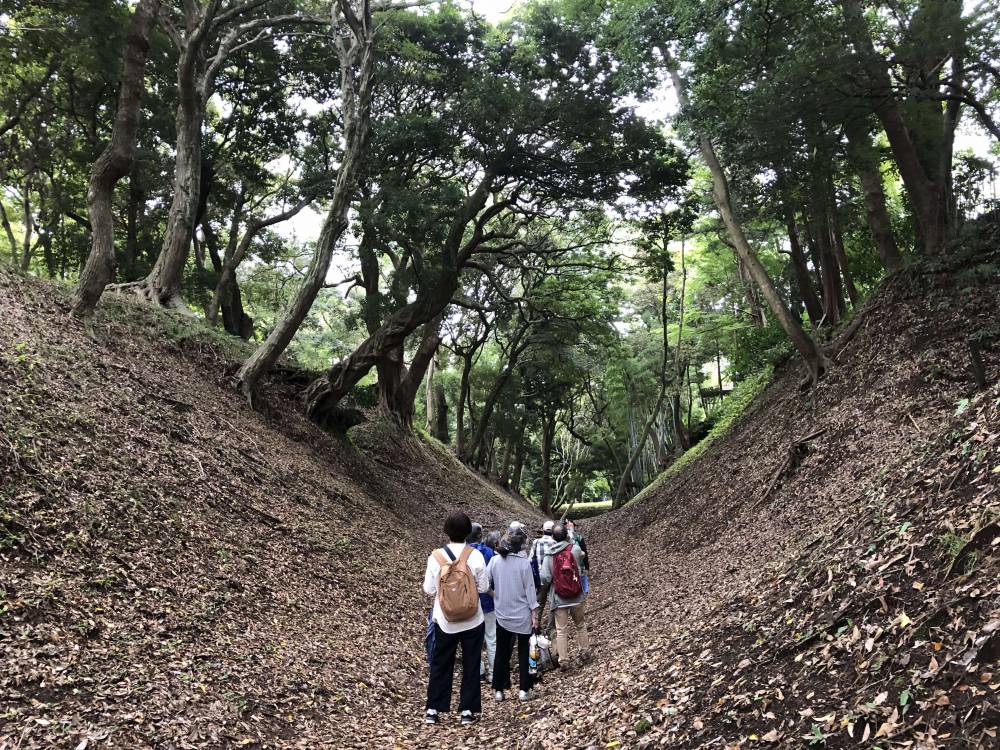 小峯御鐘ノ台大堀切東堀