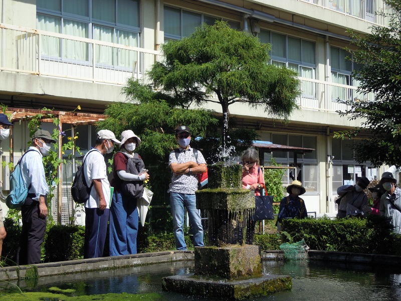 桜井小学校 噴水
