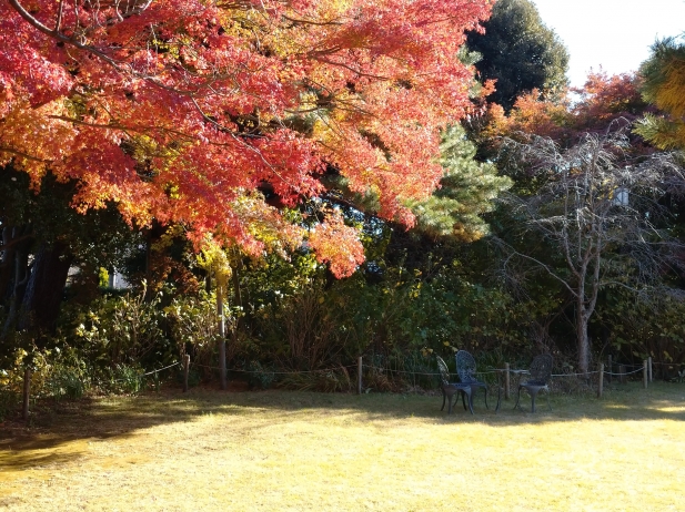 小田原文学館（庭園）