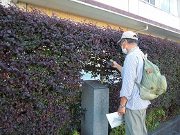 上の問屋場