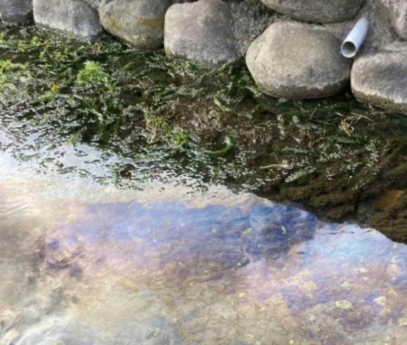水質事故2