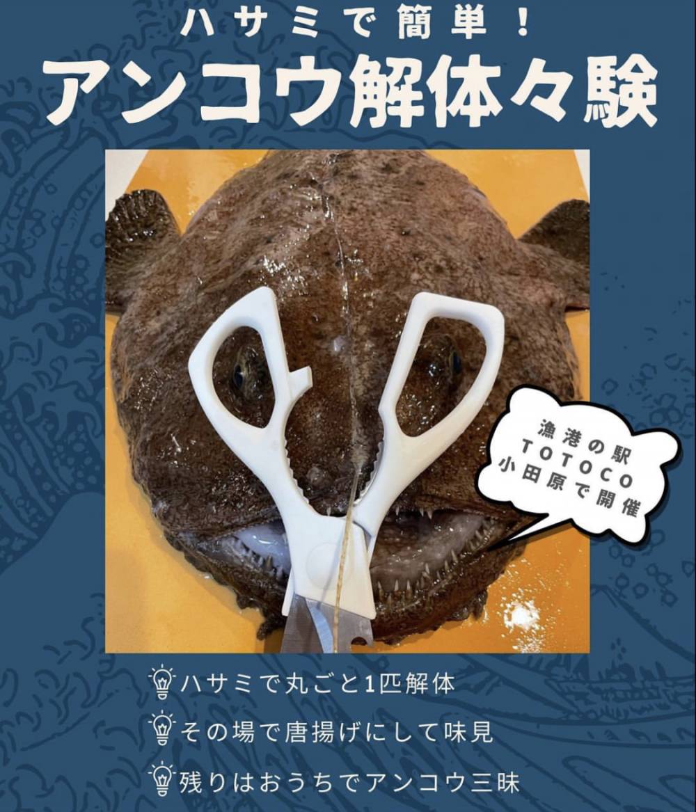 チラシ画像
