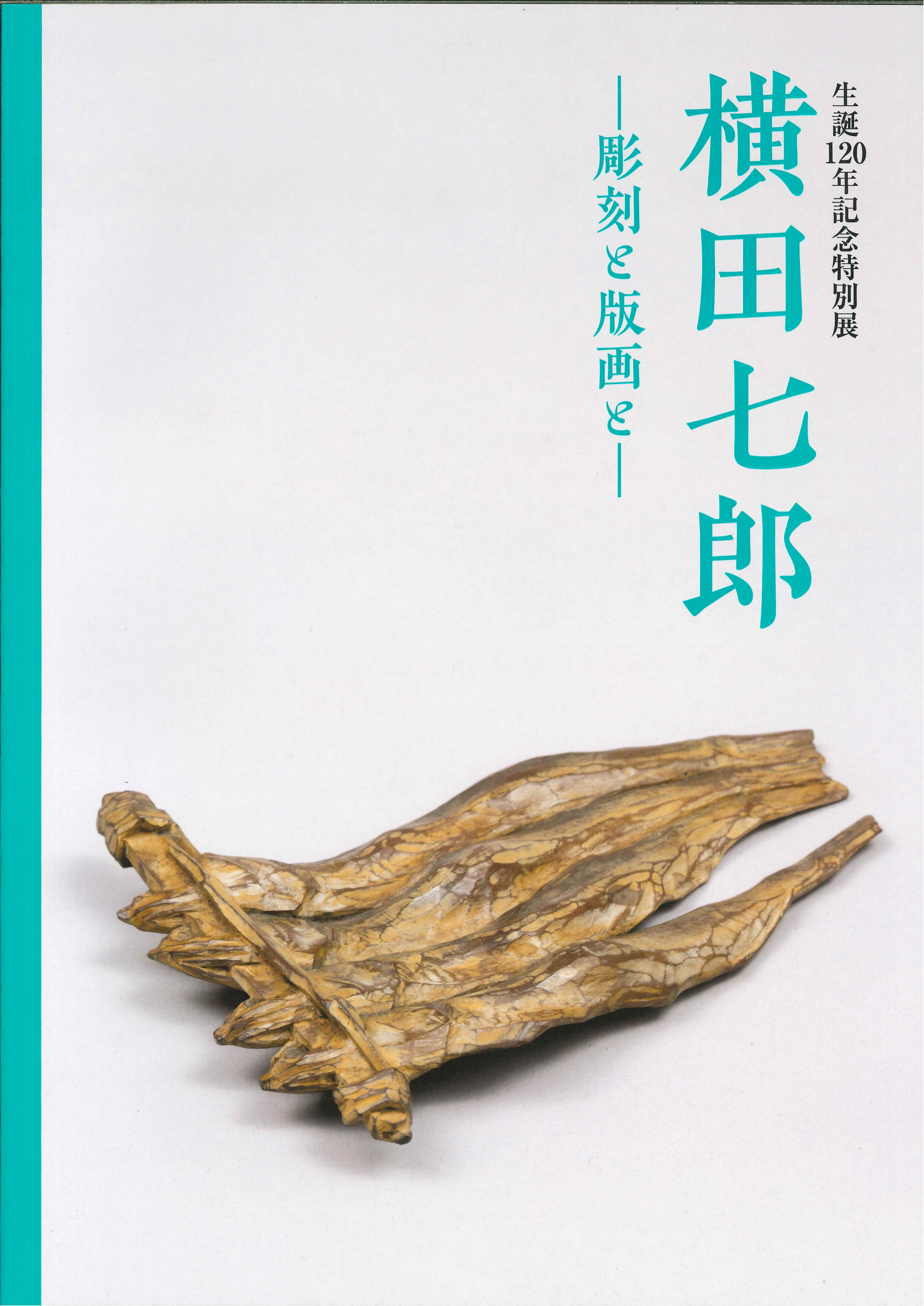 特別展　横田七郎図録 表紙写真