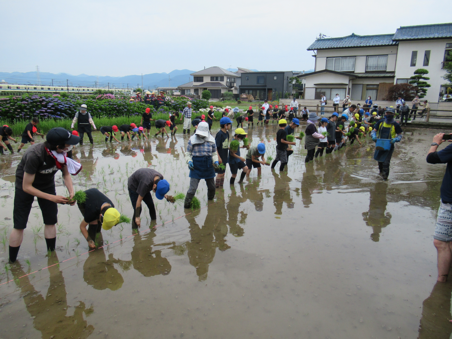 田植えの風景