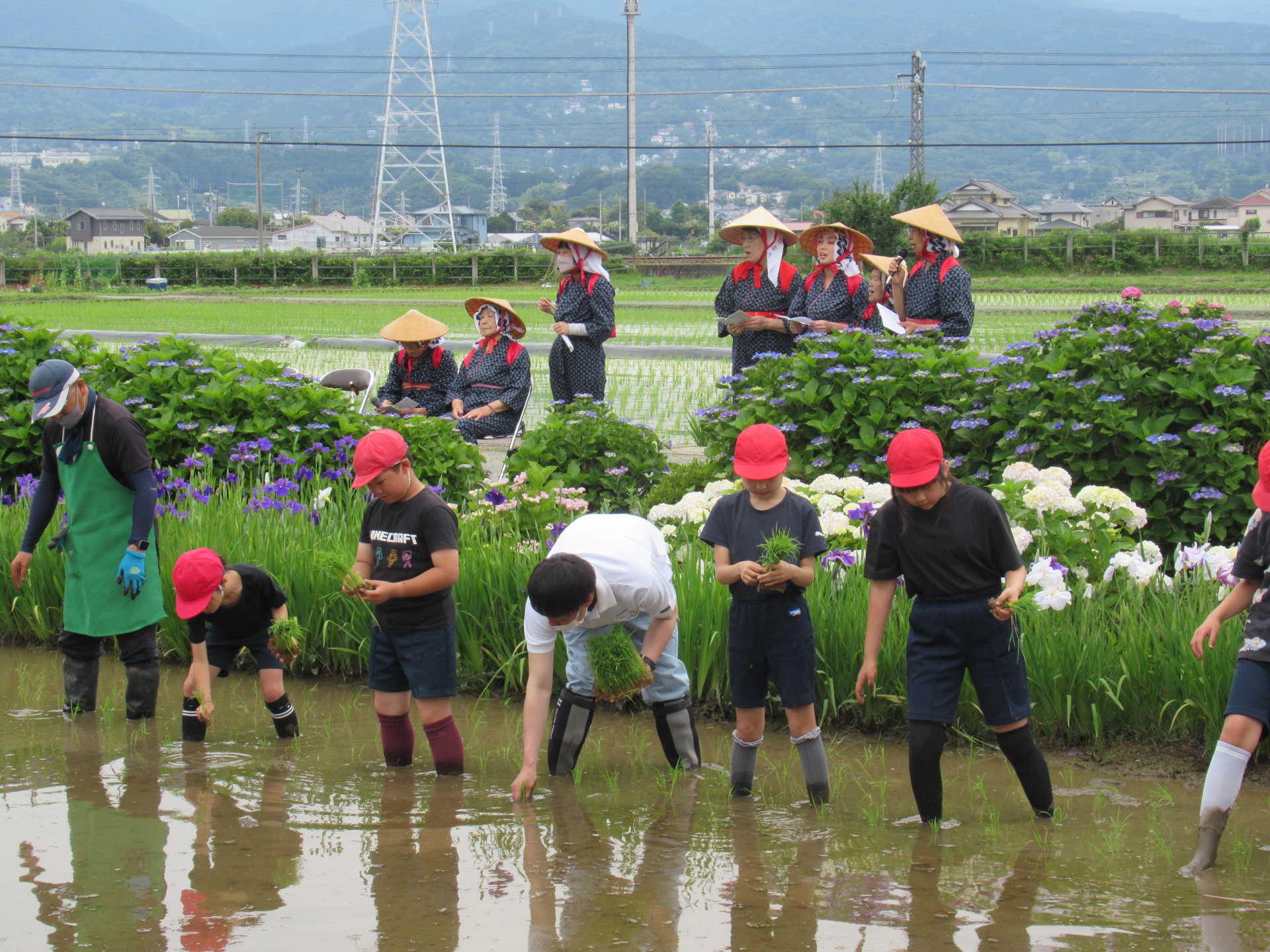 田植え風景