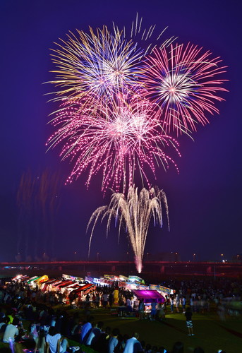 酒匂川花火の画像