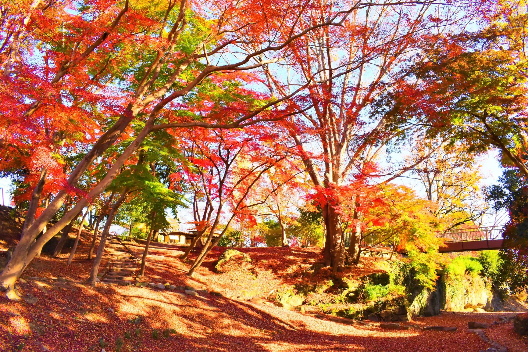 雀宮公園【寄居町寄居643番地１】　の画像